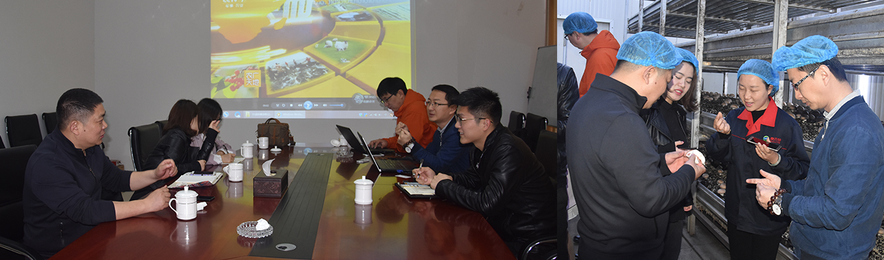 丁士安冲突战略品牌营销策划