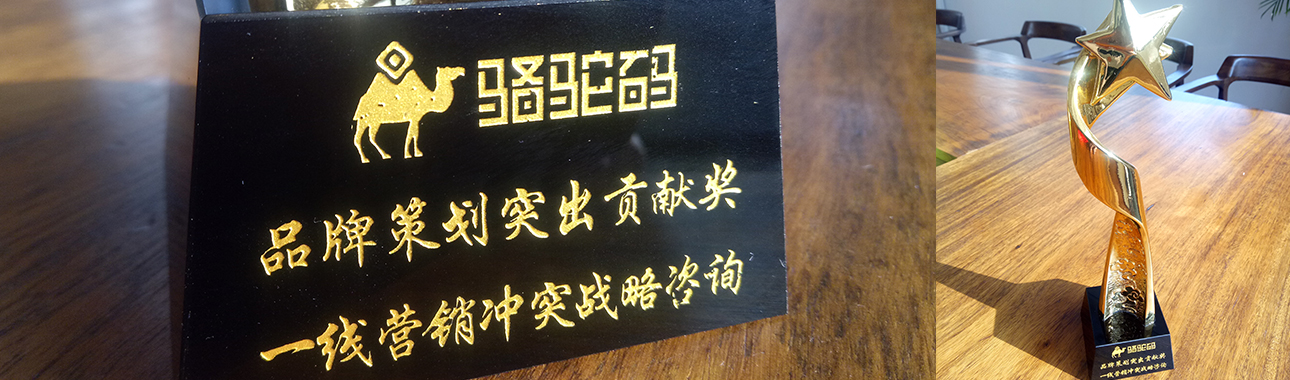 丁士安冲突战略品牌营销策划